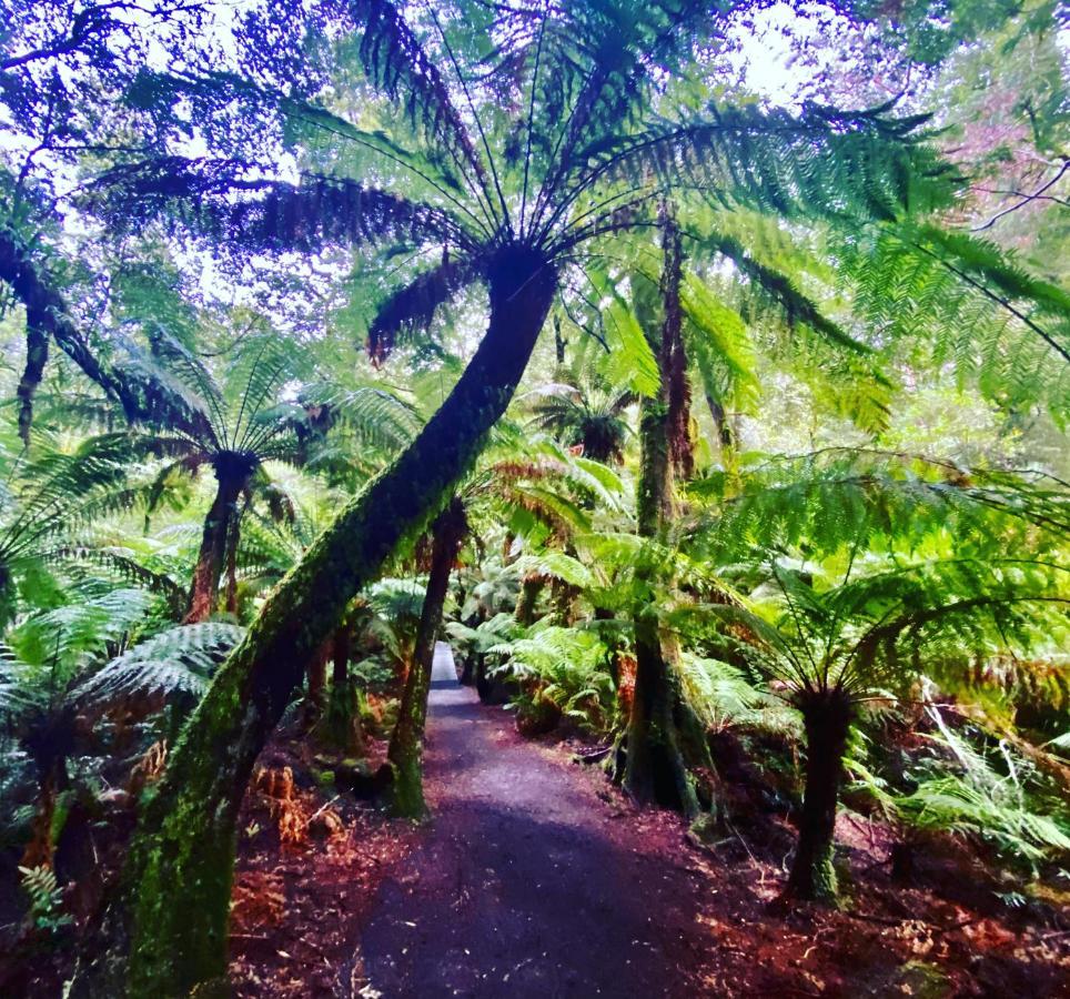 Great Ocean Road Wellness And Nature Stay Apollo Bay Εξωτερικό φωτογραφία