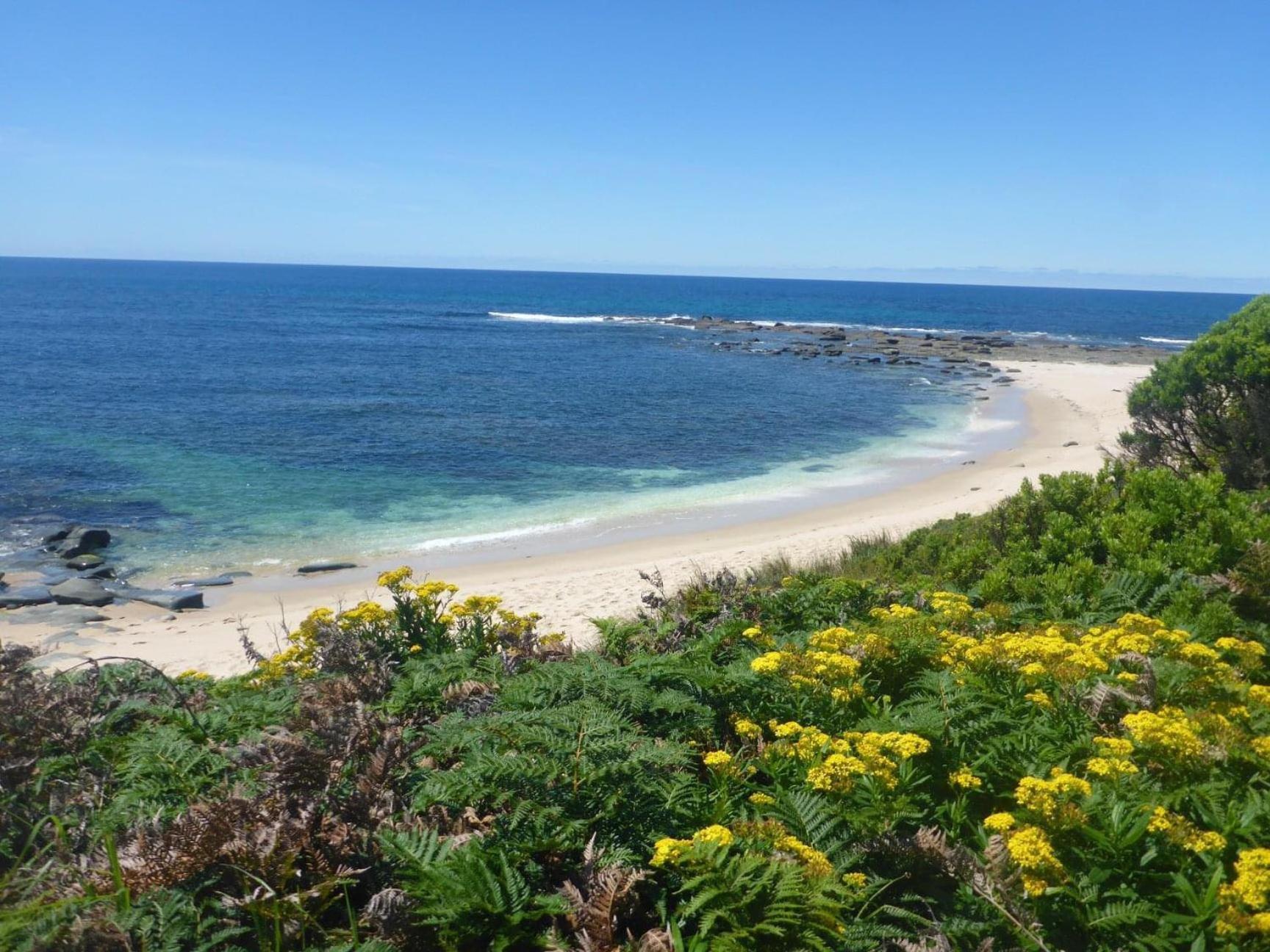 Great Ocean Road Wellness And Nature Stay Apollo Bay Εξωτερικό φωτογραφία