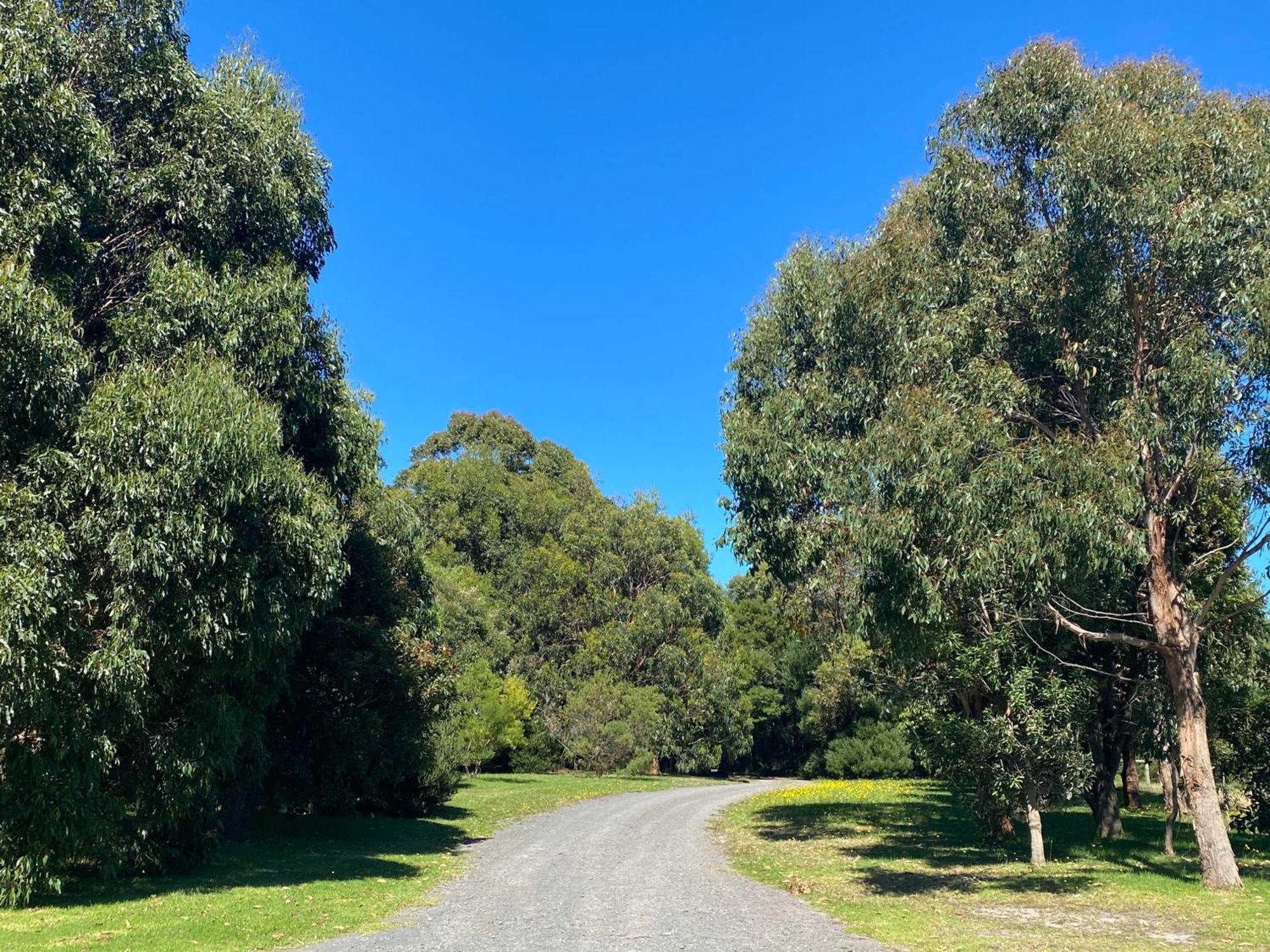 Great Ocean Road Wellness And Nature Stay Apollo Bay Εξωτερικό φωτογραφία